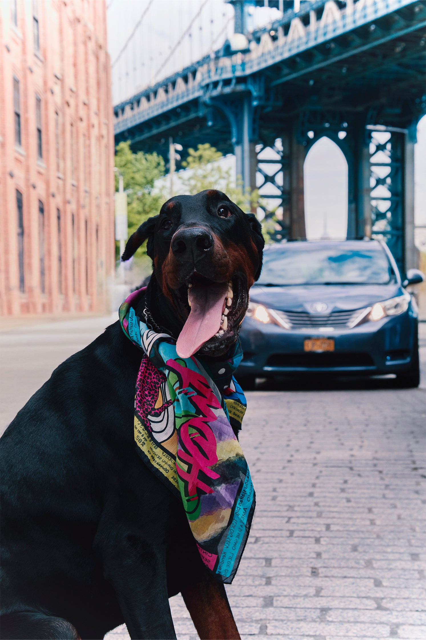 FOULARD “MURALES LOVEYOURSELF”  90 x 90 cm 73% Cotone - 27% Seta